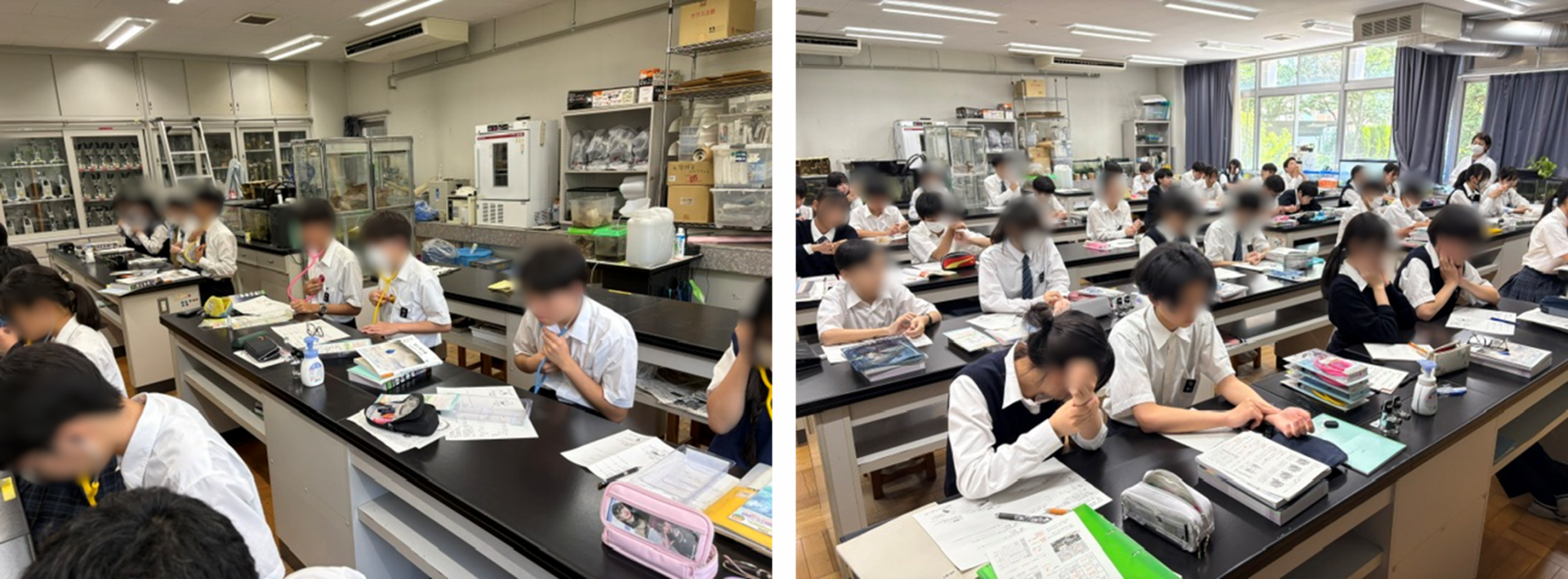 中2生物　自分の身体1